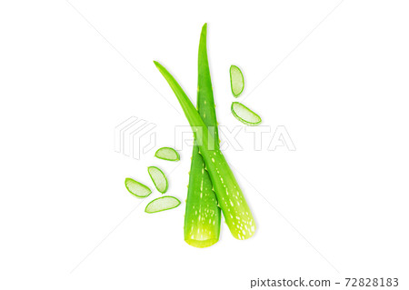 Cut fresh green aloe vera leaves and sliced isolated on white background with clipping path 72828183