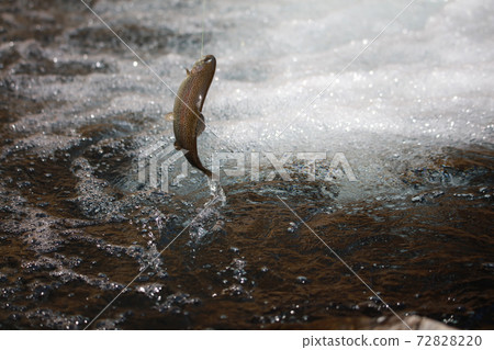 Mountain stream fishing image Mountain stream fishing image 72828220