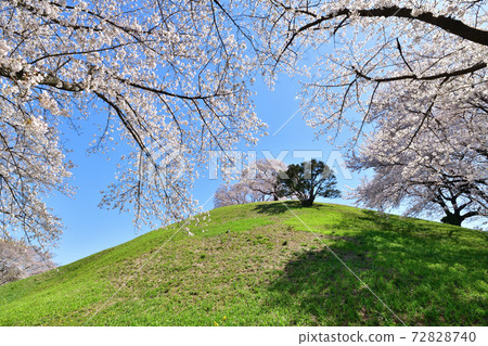 Saitama Sakitama Kofun Park Saitama Sakitama Kofun Park 72828740