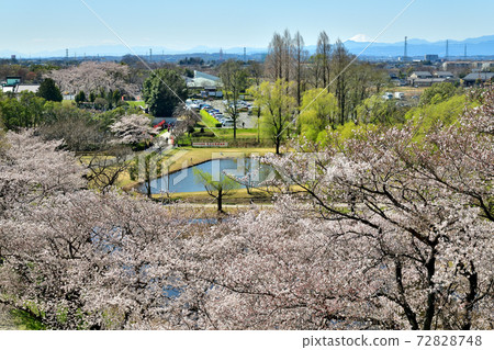 Saitama Sakitama Kofun Park 72828748
