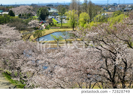Saitama Sakitama Kofun Park 72828749