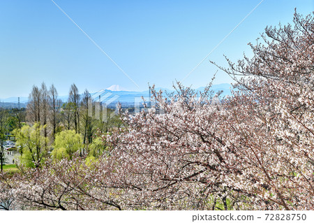 Saitama Sakitama Kofun Park 72828750
