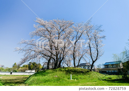 ita玉縣崎玉公園公園 72828759