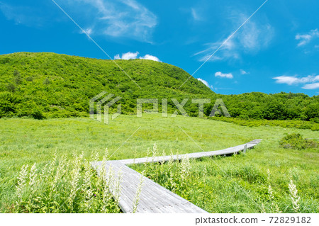 大山京成的初夏，山的徒步旅行圖像。 72829182