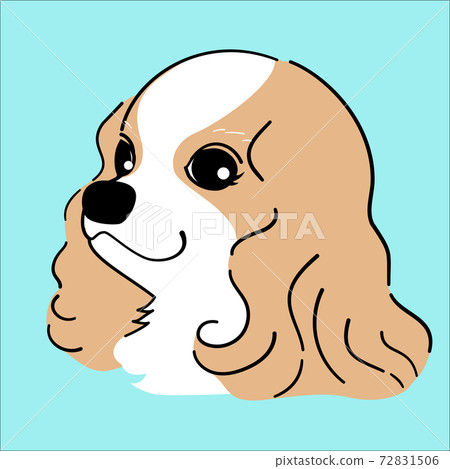 Cavalier dog cute illustration material 72831506