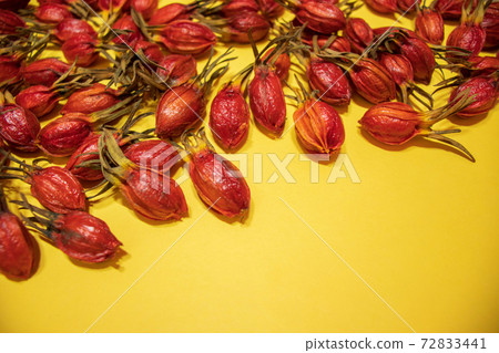 Gardenia, Gardenia fruit (seed) 72833441