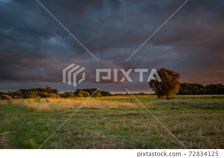 Dark storm clouds over the meadow and trees 72834125