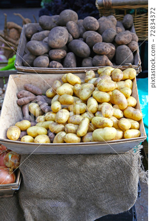 Potato 72834372
