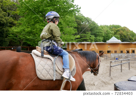 Horseback riding experience at the zoo Horseback riding experience at the zoo 72834403