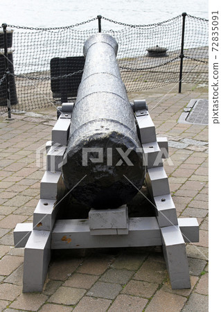 Cannon 72835091