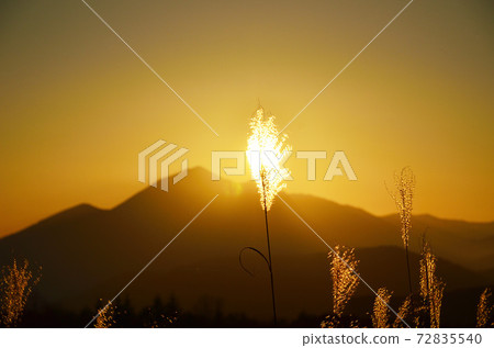 鈴木的耳朵和會津的萬代會津山的輪廓似乎在夕陽下燃燒 72835540