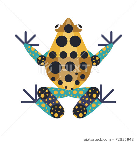 Tropical Poison Geometric Frog in Flat Design Tropical Poison Geometric Frog in Flat Design 72835948