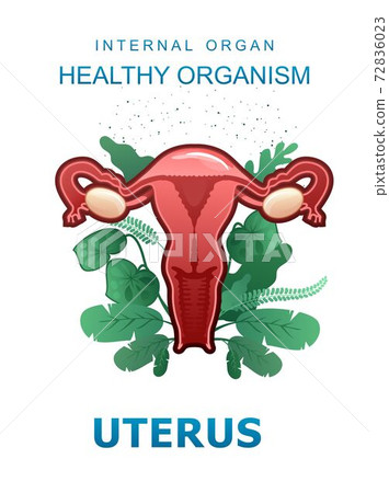 internal organs medical poster concept internal organs medical poster concept 72836023