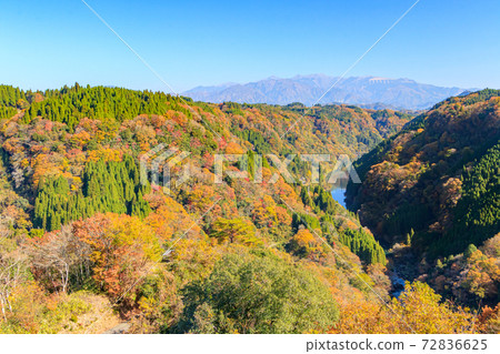 熊本縣Kamimasu城堡,秋天Suyokyo 熊本縣Kamimasu城堡,秋天Suyokyo 72836625