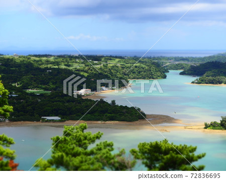 沖繩海和綠 72836695