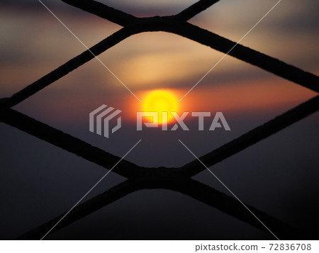 The sun through the fence The sun through the fence 72836708