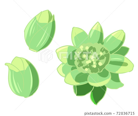 Fukinoto(無行) Fukinoto(無行) 72836715