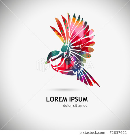 A multi-colored flying decorative bird. Vector illustration A multi-colored flying decorative bird. Vector illustration 72837621