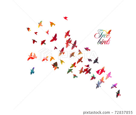 Bird watercolor. A flock of colorful birds. Mixed media. Free birds. Vector illustration Bird watercolor. A flock of colorful birds. Mixed media. Free birds. Vector illustration 72837855