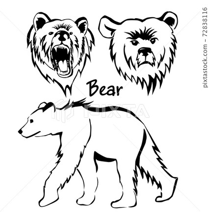 Set of monochrome drawings of a bear. Vector illustration 72838116