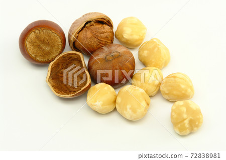 Hazelnuts on White Background 72838981