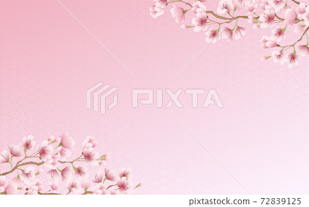 櫻花花瓣盛開的青海波浪圖案粉紅色的天空背景素材圖 72839125