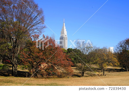 12月澀谷358 NTT Docomo代代木大樓和明治神宮神社秋葉 72839430