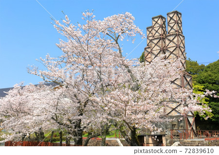 [靜岡]盛開著櫻花的Nirayama反射爐 72839610