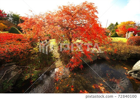 Late Autumn Of Hiraoka Tree Art Center In 2nd Stock Photo 72840100 Pixta