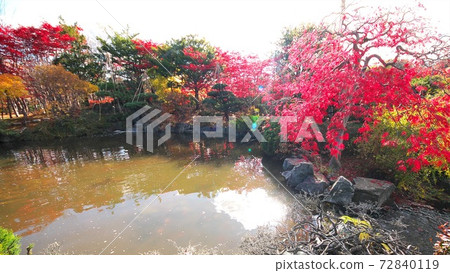 麗岩第二年的平岡樹木藝術中心深秋 72840119