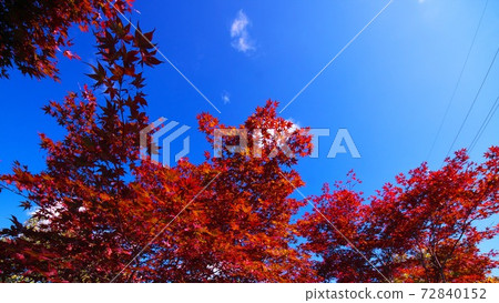 Late autumn of Hiraoka Tree Art Center in 2nd year of Reiwa Late autumn of Hiraoka Tree Art Center in 2nd year of Reiwa 72840152