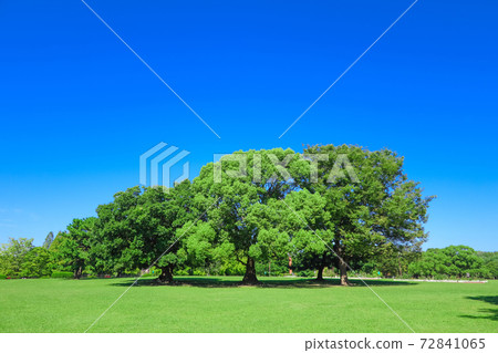 Shonai Ryokuchi Park, full of spacious greenery <Nagoya City, Aichi Prefecture> Shonai Ryokuchi Park, full of spacious greenery <Nagoya City, Aichi Prefecture> 72841065