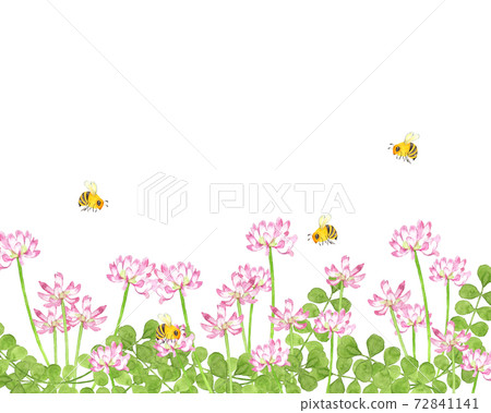 Astragalus field where bees fly 72841141