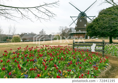 Funabashi Andersen Park Ice Tulip 72841195