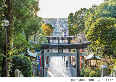 福岡縣宮武神社 光之道 日航的偶像團體嵐出現在日本的cm地點 照片素材 圖片 圖庫