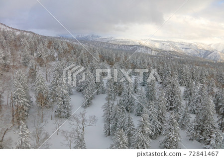 Snow coniferous forest and Tokachi mountain range_Daisetsuzan Snow coniferous forest and Tokachi mountain range_Daisetsuzan 72841467