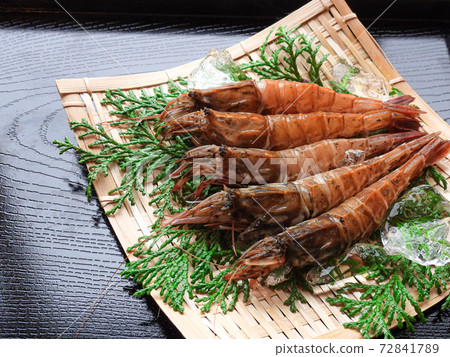 幻影蝦加斯蝦 幻影蝦加斯蝦 72841789