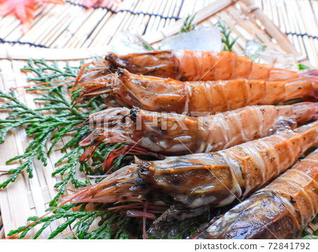 Phantom shrimp Gasa shrimp 72841792