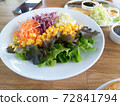 vegetable salad on a white plate 72841794