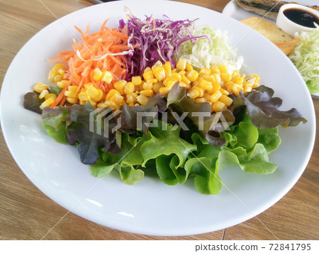vegetable salad on a white plate 72841795