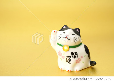 Lucky Cat 72842789