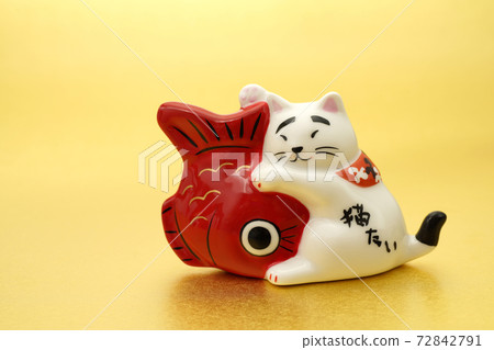 Cat want cat and sea bream 72842791