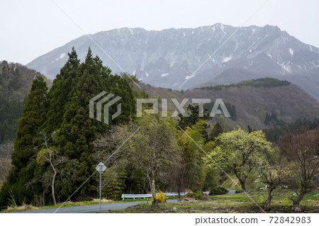 Spring scenery of your desk Spring scenery of your desk 72842983