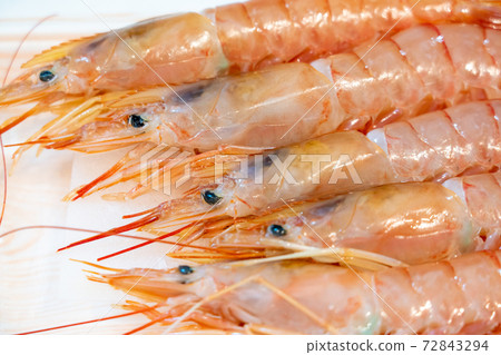 Shrimp Shrimp 72843294