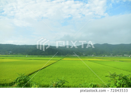 從福島站到仙台站的東北線列車窗口風景 72843533