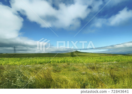 Caoyuan Tianlu, Zhangbei, China 72843641