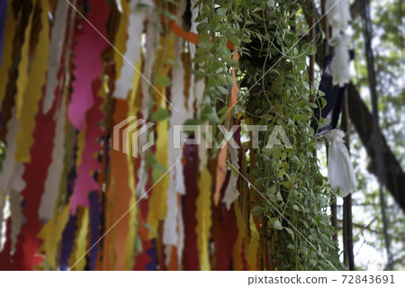 Hanging colorful fabric decorated in the garden 72843691