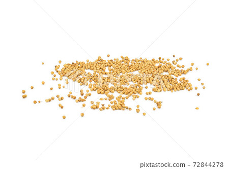 Pile of Organic Dried coriander seeds (Coriandrum sativum) isolated on white background. Pile of Organic Dried coriander seeds (Coriandrum sativum) isolated on white background. 72844278