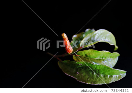 日發克羅貝克 日發克羅貝克 72844321