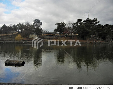 Japanese sentiment and culture: Sarusawa Pond in front of Uneme Shrine in Nara City and the five-storied pagoda of Kofukuji Temple 72844480